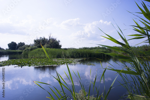 Fotografie Danube Delta landscape with water canals and vegetation on a hot summer day with