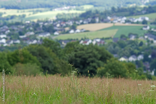 Naturregion Sieg, Blick auf Eitorf