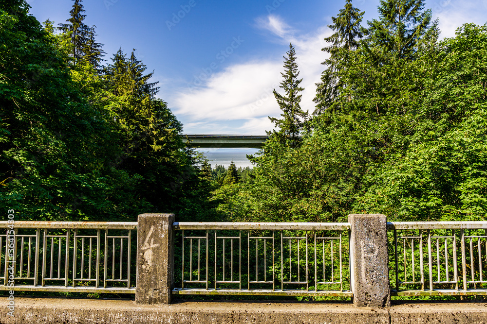 view from bridge to other bridge over green forest with white clouds on the sky