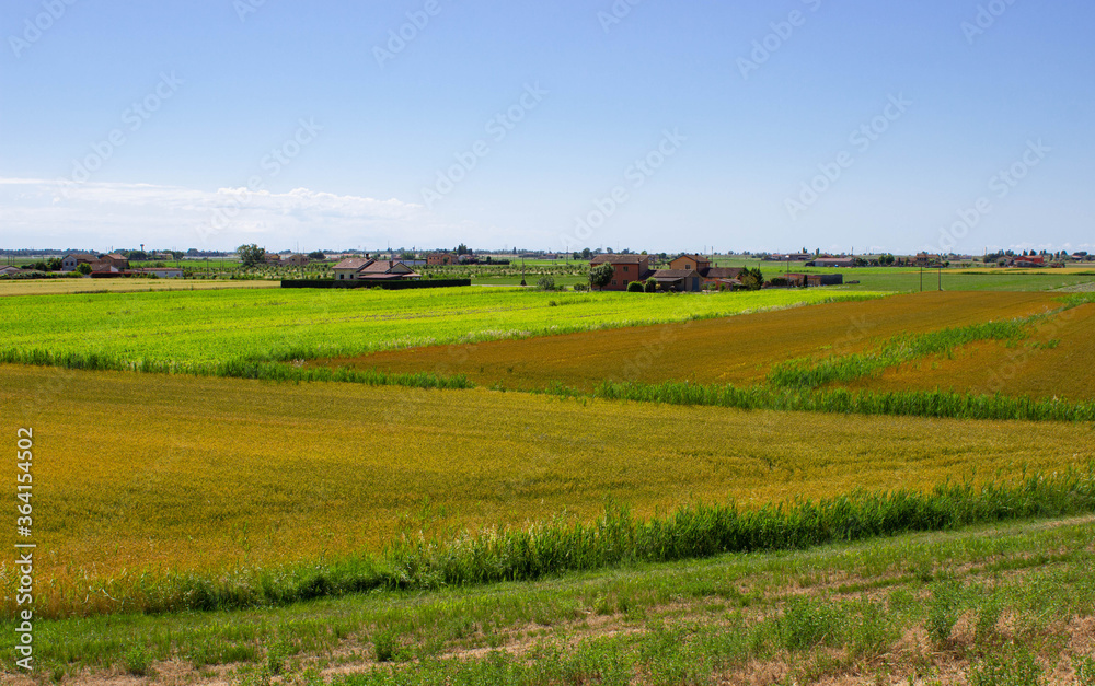 Cultivated fields with the background of houses. Ca 'Venier Island, Veneto Regional Park of the Po Delta, Italy.