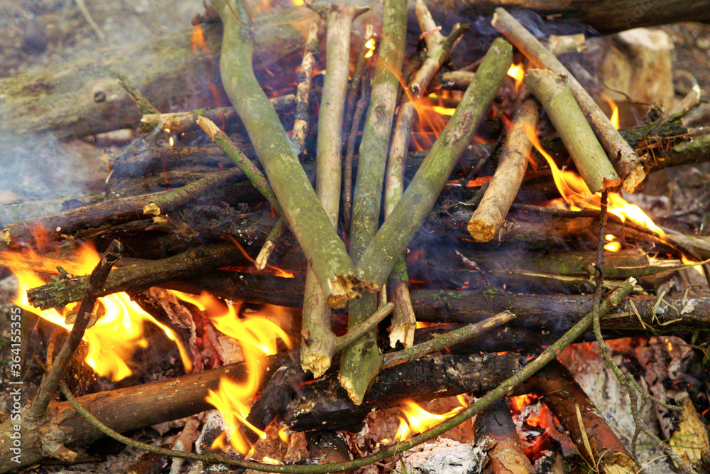 Firewood of dry branches is burning in the wood. Summer camp concept Firewood of dry branches is burning in the wood. Summer camp concept
