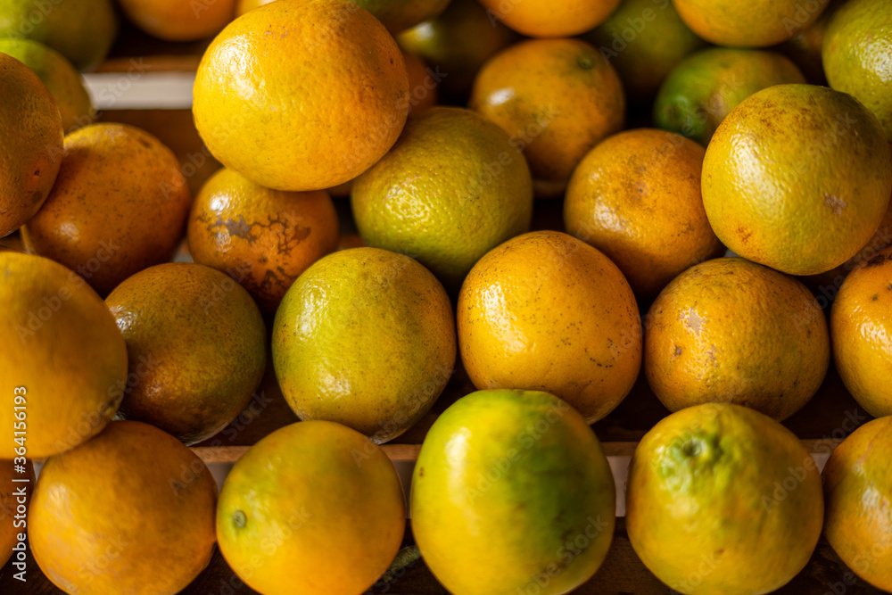 Compras de frutas e legumes frescos na Feira