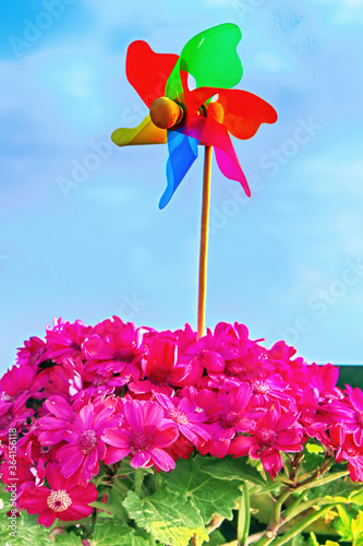 Colorful pinwheel on a wooden stick stuck in a flowerpot with pink flowers against a blue sky © Gelia