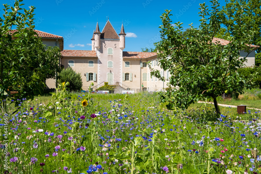 France, Ardèche (070, Jaujac, village de caractère, le château de Rochemure.