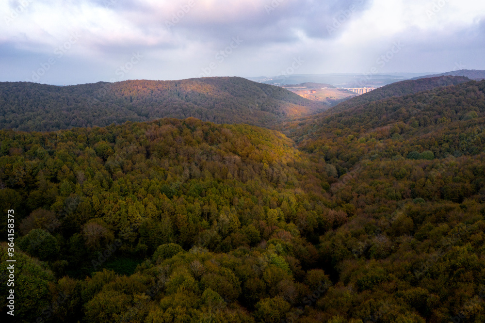 Scenic aerial view of a winding trekking path in a forest. Trekking path in the forest from above, drone view. Aerial view of footpath in forest.