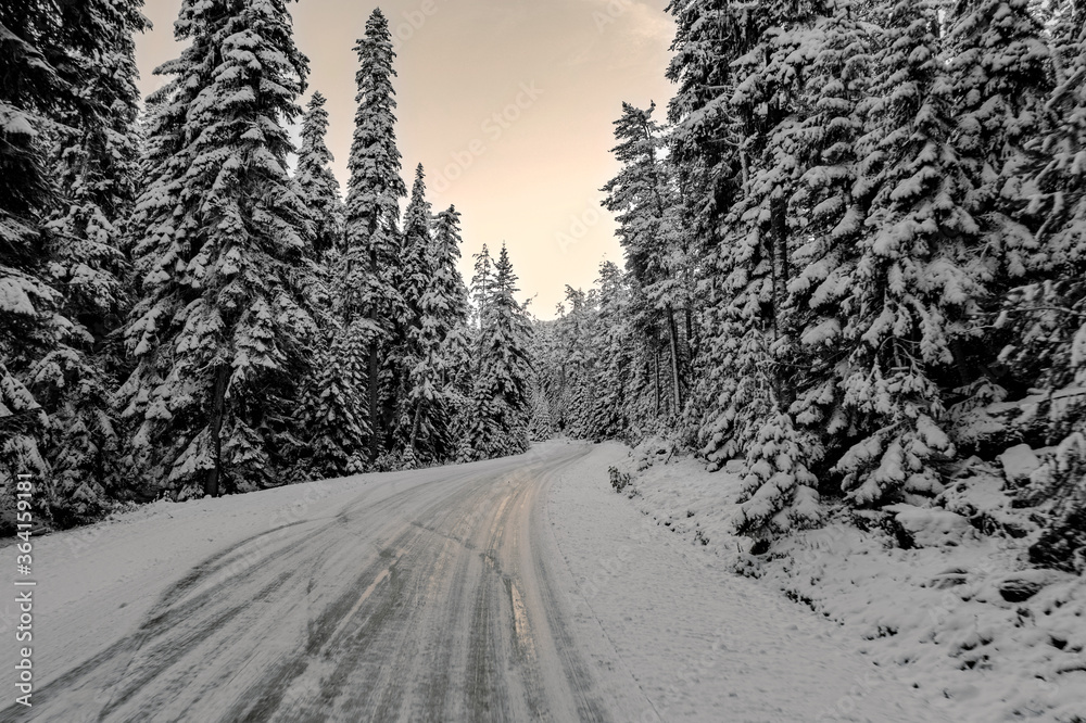 Obraz premium Snow-covered forest air of the mountains, snow, sea and stream coast