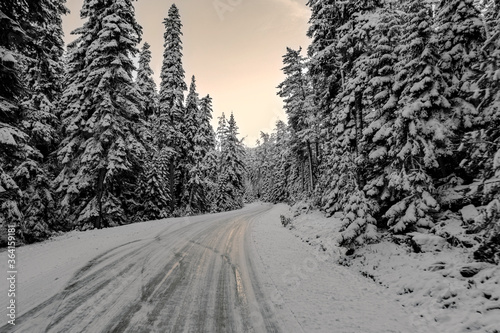 Snow-covered forest air of the mountains, snow, sea and stream coast