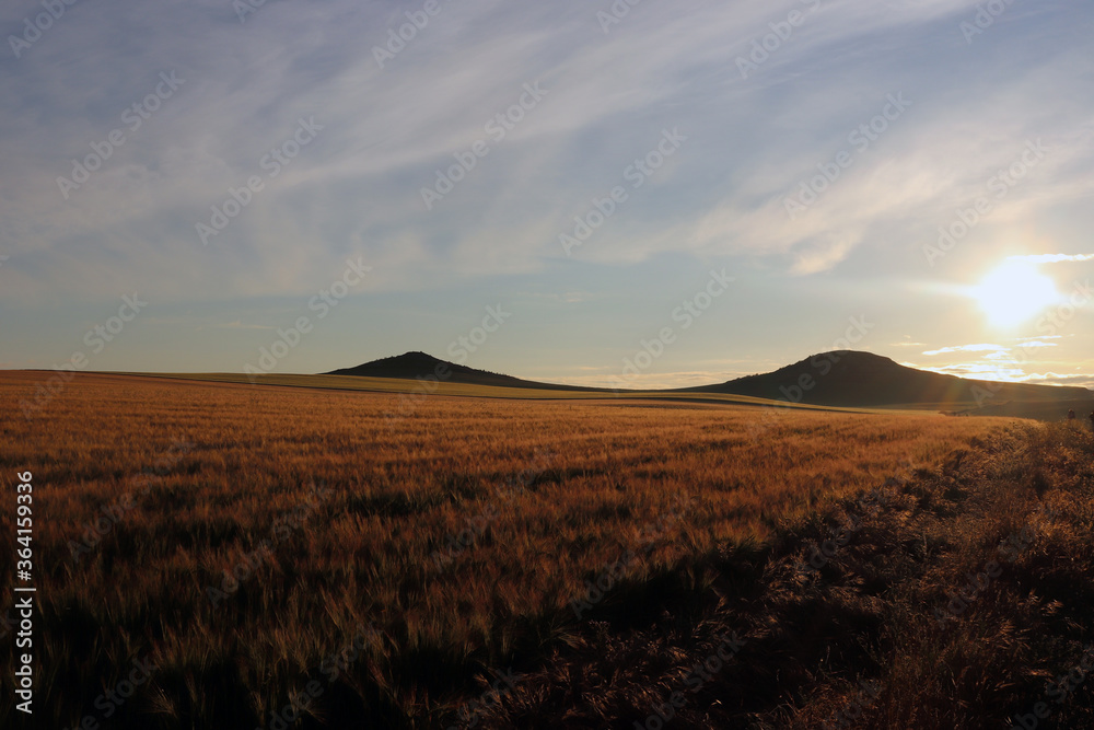 Obraz premium Hills