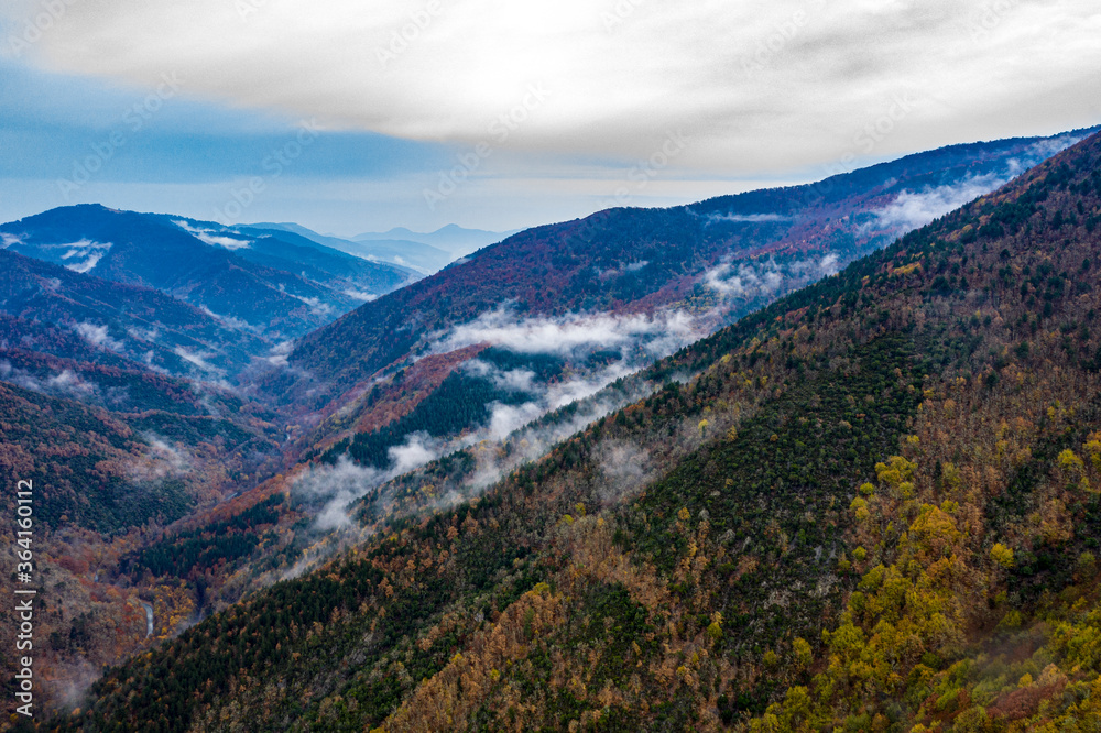 Snow-covered forest air of the mountains, snow, sea and stream coast