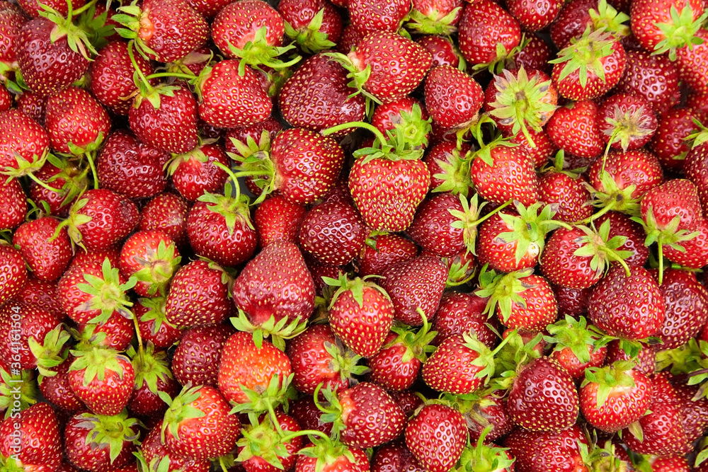 Strawberry background. Heap of red ripe strawberries, fresh summer berries, top view Strawberry background. Heap of red ripe strawberries, fresh summer berries, top view