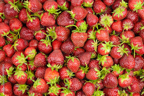 Strawberry background. Heap of red ripe strawberries, fresh summer berries, top view