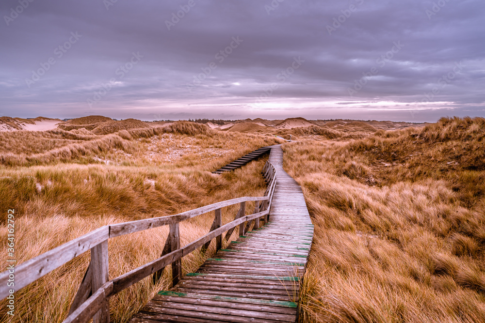 Holzweg im Naturschutzgebiet auf Amrum. Nordseeküste, Dünen, Wanderweg, Wolken, Gewitterwolken 