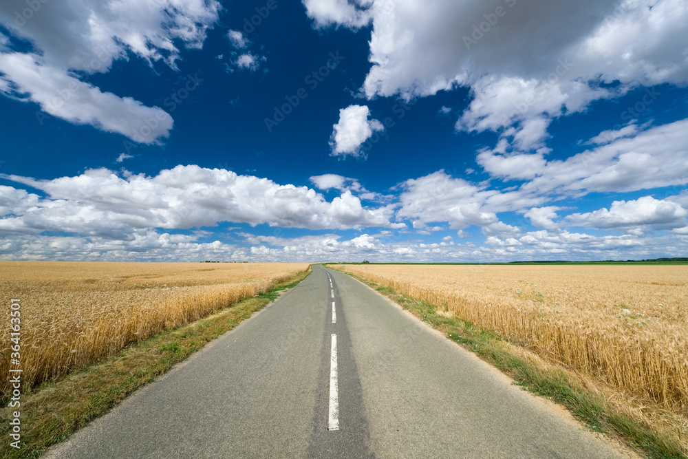 Route de campagne à travers des champs de blé