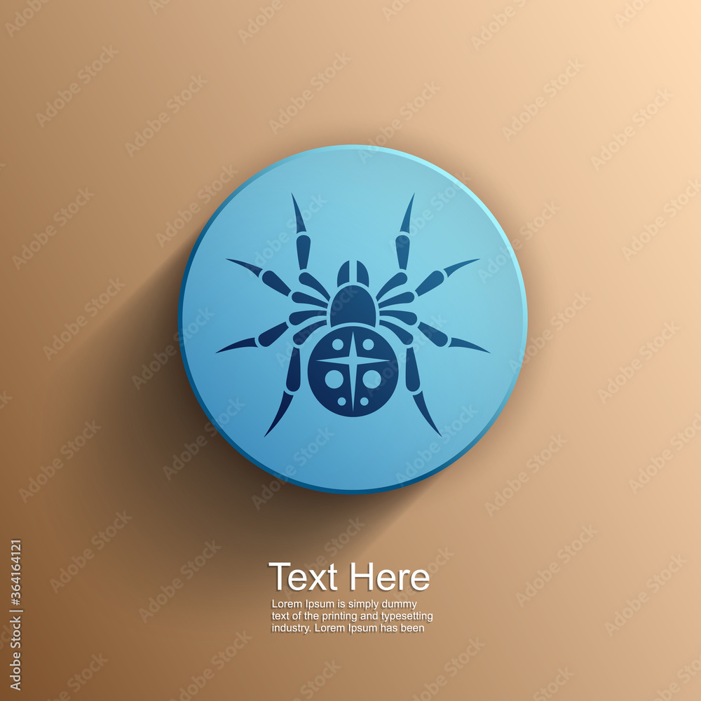 Spider icon, Flat style, vector