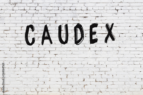 Inscription caudex painted on white brick wall photo