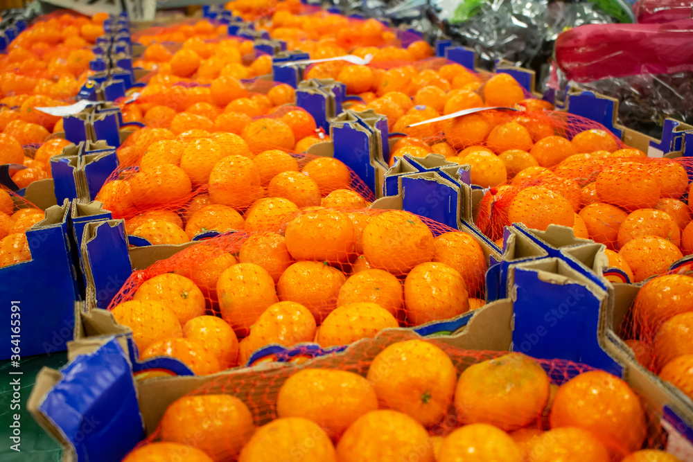 A view of several cases of mandarin oranges, on display at a local grocery store.