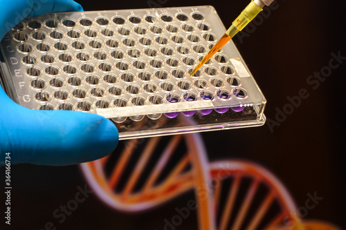 DNA testing in a scientific laboratory.