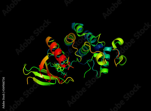 The crystal structure of the tumor marker protein. photo