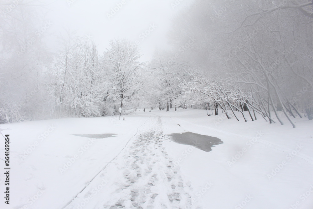 Walking in a Frozen Winter Wonderland