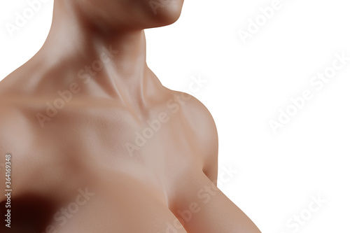 Female neck and cleavage closeup photo
