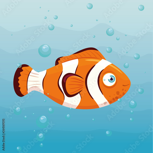 clownfish marine animal in ocean, seaworld dweller, cute underwater creature, undersea fauna vector illustration design