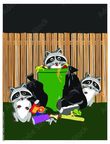 Raccoons Digging in Trash
