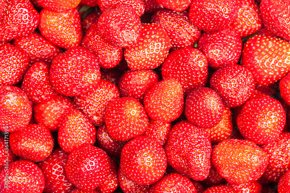 Lots of strawberry view from above, use as background or texture Lots of strawberry view from above, use as background or texture