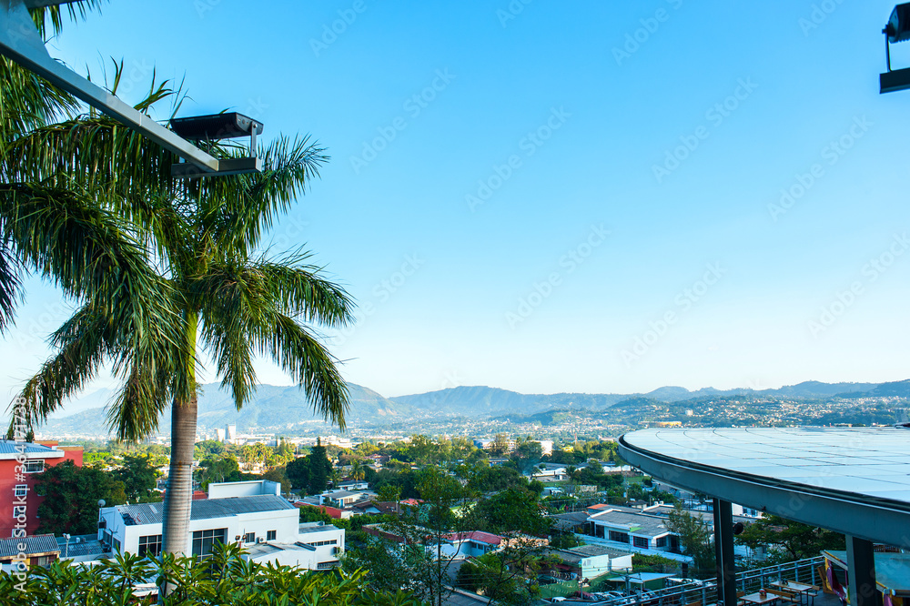 Palm trees as decoration in the urban area of San Salvador