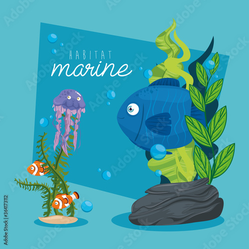xxx and wild marine animals in ocean, sea world dwellers, cute underwater creatures, undersea fauna of tropic vector illustration design