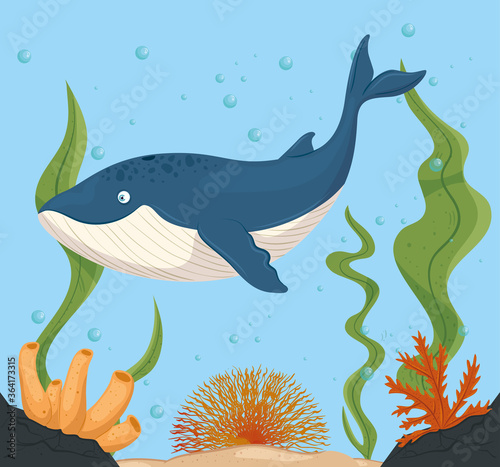 blue whale and life marine in ocean, seaworld dwellers, cute underwater creatures, undersea fauna vector illustration design