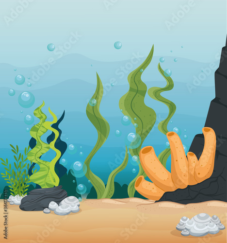 xxx and wild marine animals in ocean, sea world dwellers, cute underwater creatures, undersea fauna of tropic vector illustration design