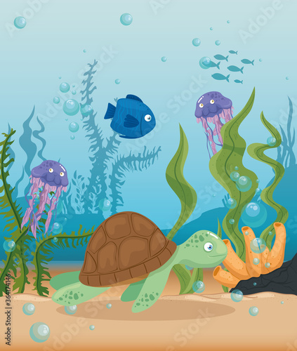 xxx and wild marine animals in ocean, sea world dwellers, cute underwater creatures, undersea fauna of tropic vector illustration design