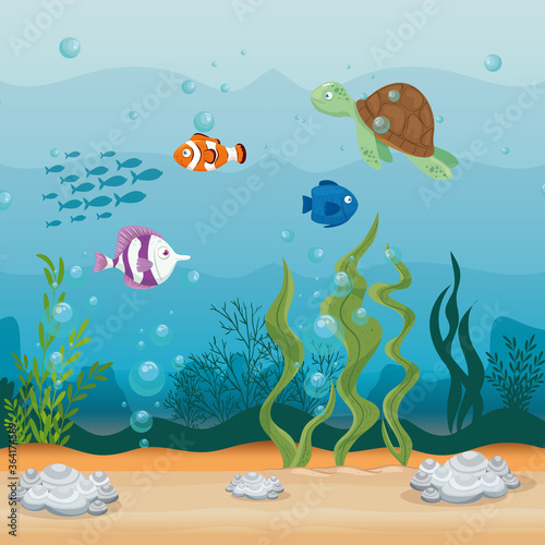 xxx and wild marine animals in ocean, sea world dwellers, cute underwater creatures, undersea fauna of tropic vector illustration design