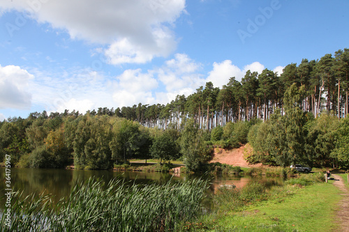 Cannock Chase, Staffordshire, United Kingdom, an area of Outstanding Natural Beauty, featuring forests, paths and lakes photo