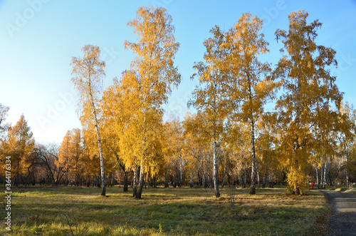 Autumn