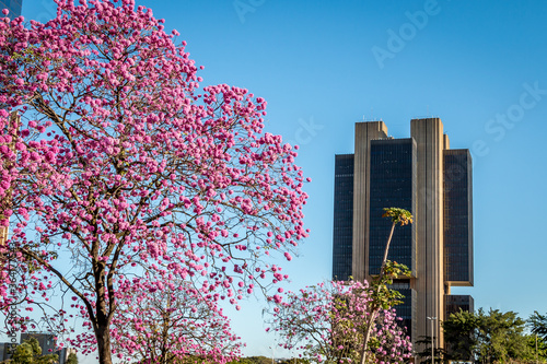 Brasilia Brazil Beautiful Planned City