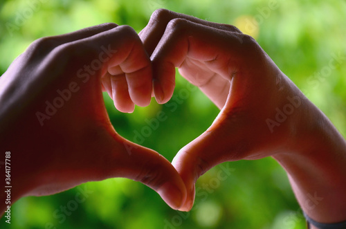 heart in hands