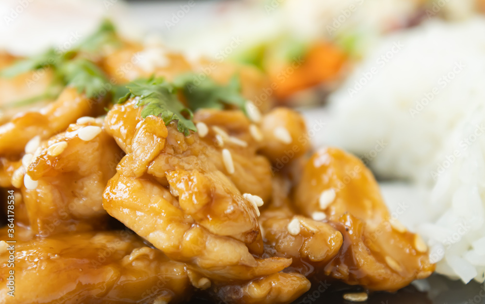 Fried Chicken with Garlic and Pepper and Rice in Dish with Natural Light on Left Frame Fried Chicken with Garlic and Pepper and Rice in Dish with Natural Light on Left Frame