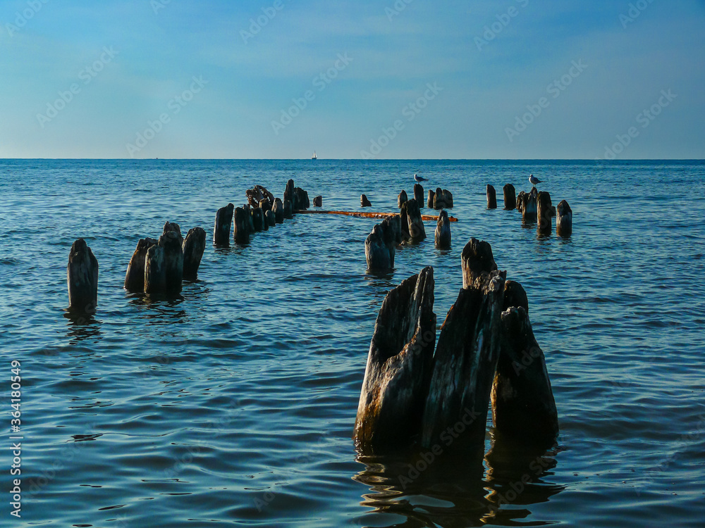 Pilings of old pier in the water