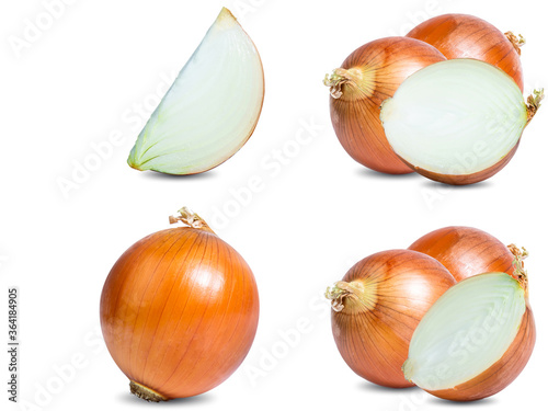 collection mix set onion isolated on white background