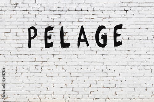 White wall with black paint inscription pelage on it