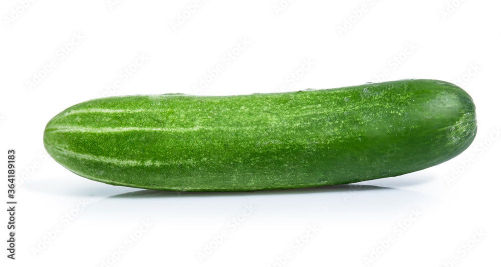 cucumber vegetable isolated on white background cucumber vegetable isolated on white background