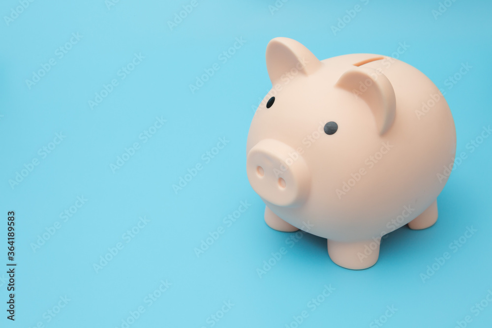 Pig piggy bank  on a blue background