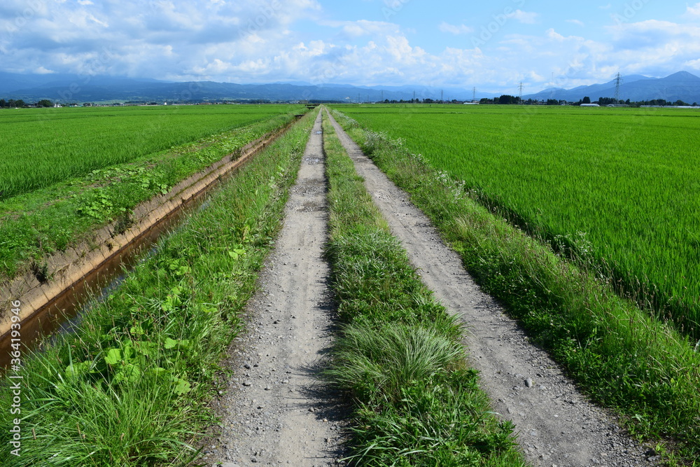 農業用道路 農業用道路