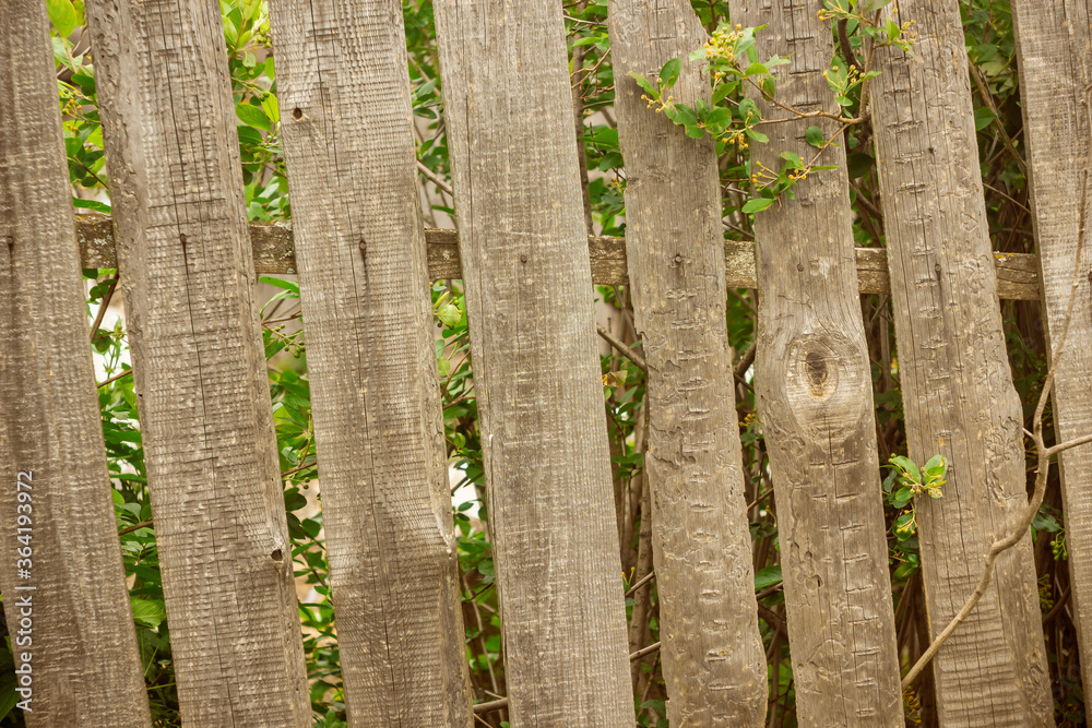 Wooden rustic fence in village near the house near the forest. Sunlight, old wood. Wooden rustic fence in village near the house near the forest. Sunlight, old wood.