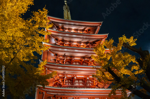 Photography Tokyo has many beautiful and historic public areas expressing the intricate cult