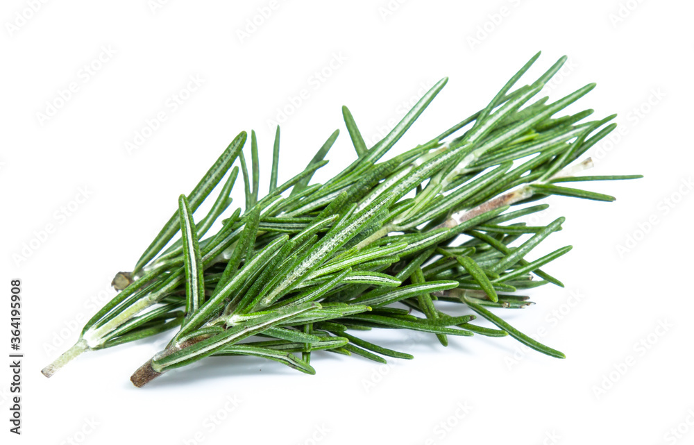 rosemary isolated on white background (Mix, set , collection)