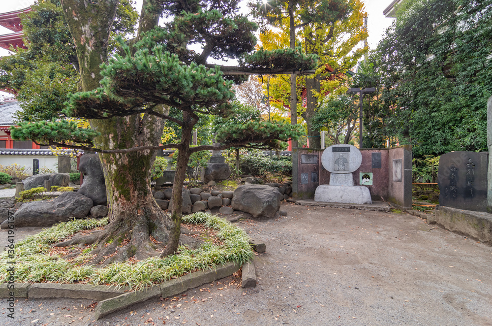 Tokyo has many beautiful and historic public areas expressing the intricate culture and spirit of Japan