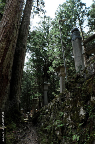 Wallpaper Mural 高野山 奥の院  Koyasan Okunoin Torontodigital.ca