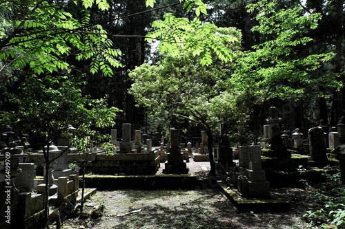 高野山 奥の院 Koyasan Okunoin